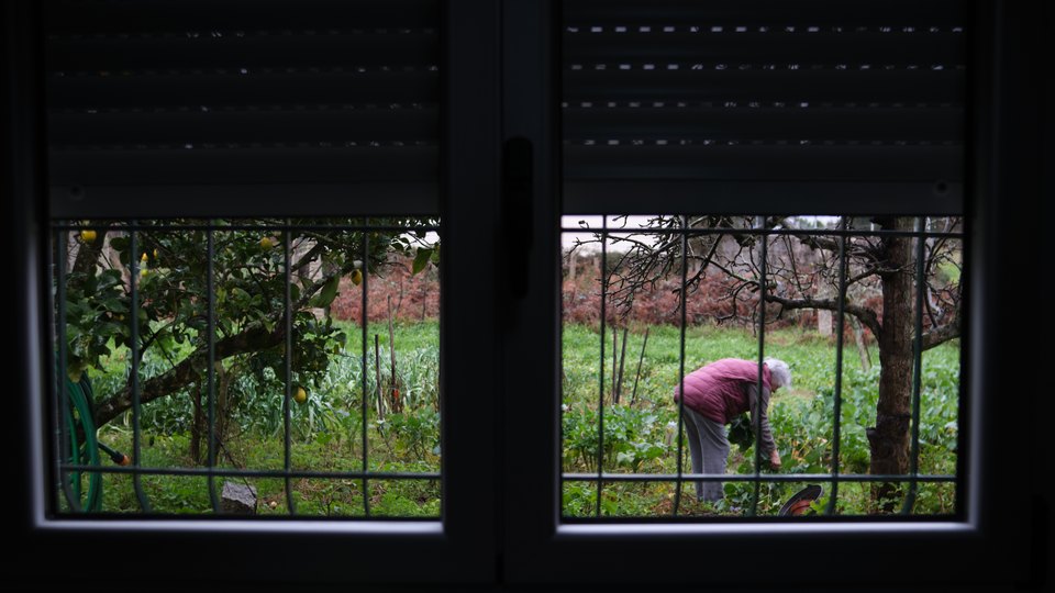 View from my grandmas kitchen while she's picking some cabbage.