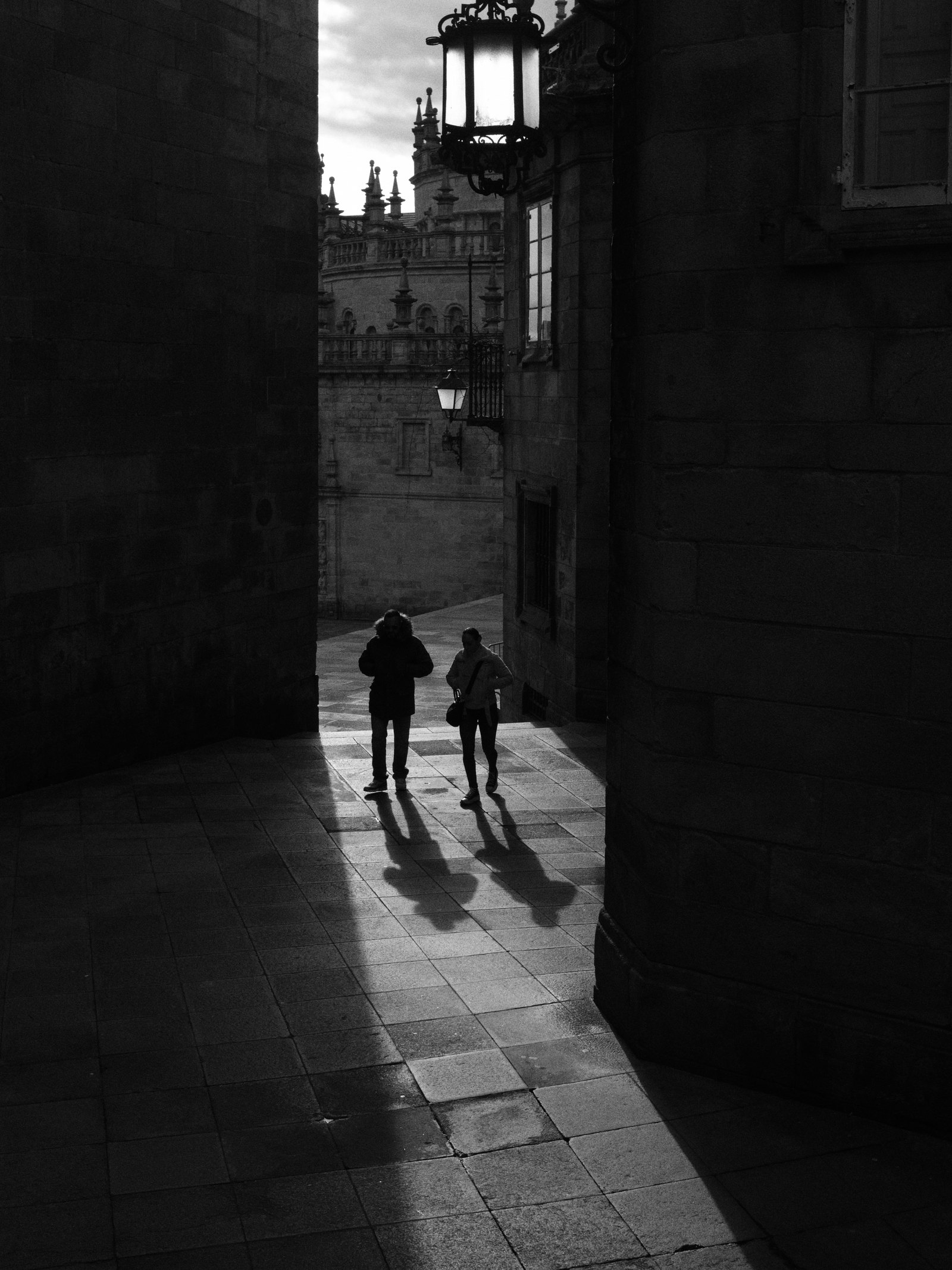 Brave enough to walk into my trap. 🇪🇸 Santiago de Compostela